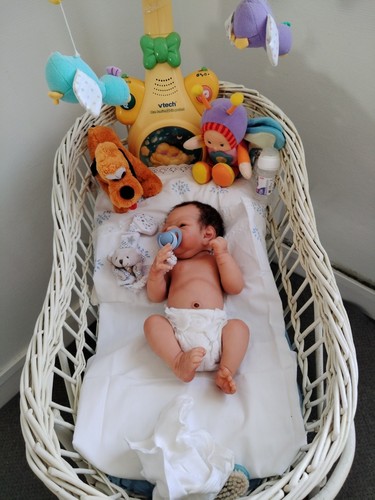 Bebe reborn silicone - reborn,